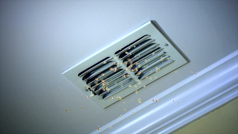 Best Best Air Duct Cleaning Company  in Grangeville, ID