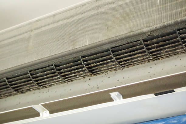 Best Professional Duct Cleaning Services  in Grangeville, ID